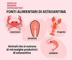 Marcus Rohrer Astaxantina