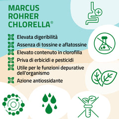 Marcus Rohrer Chlorella