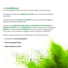 Marcus Rohrer Chlorella