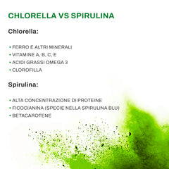 Marcus Rohrer Chlorella