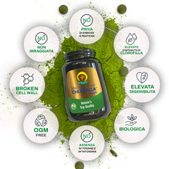 Marcus Rohrer Chlorella