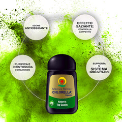 Marcus Rohrer Chlorella