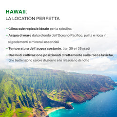 Marcus Rohrer Spirulina