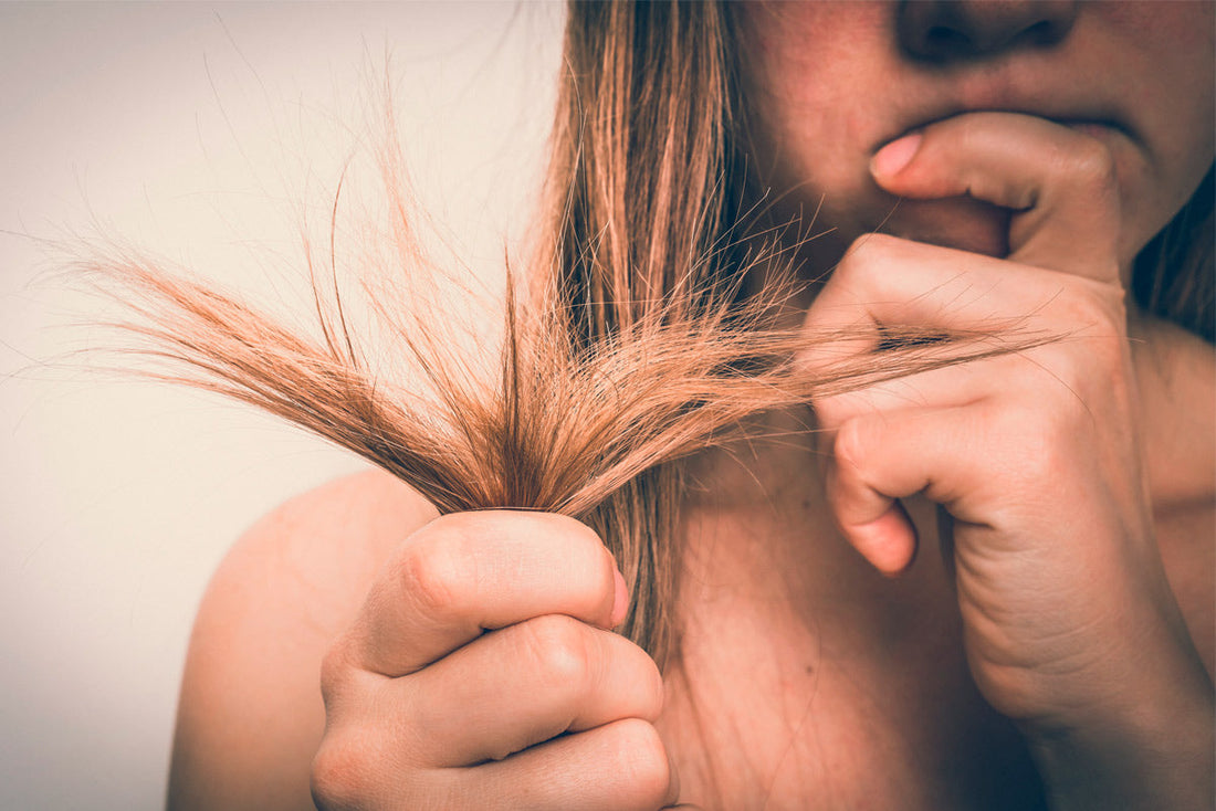 Fragilità dei capelli e cambio di stagione: cause, rimedi e consigli utili